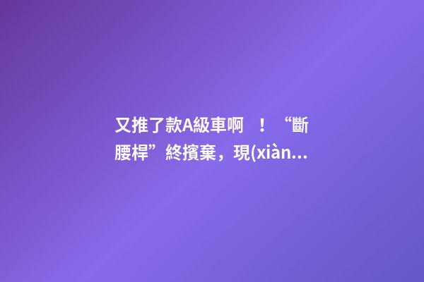 又推了款A級車??！“斷腰桿”終擯棄，現(xiàn)代這款很帥的三廂或8萬起？